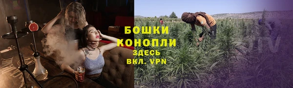 шишки Горно-Алтайск