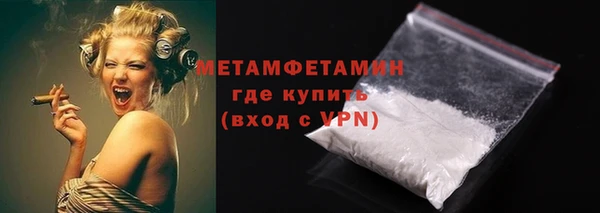 шишки Горно-Алтайск