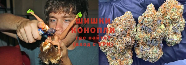 прущие крисы Козловка