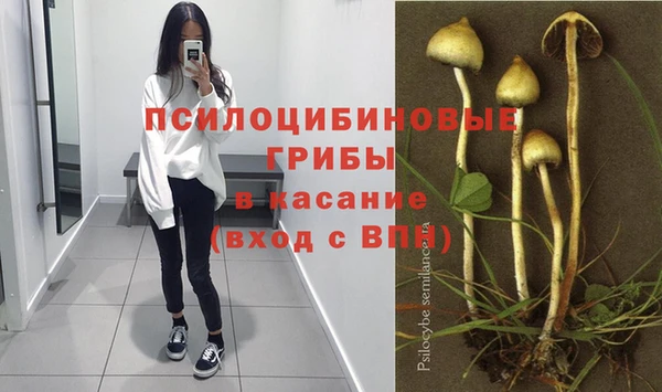 СК Горнозаводск