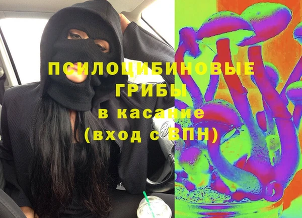 шишки Горно-Алтайск