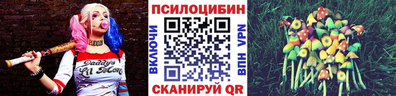 Псилоцибиновые грибы ЛСД Елизово