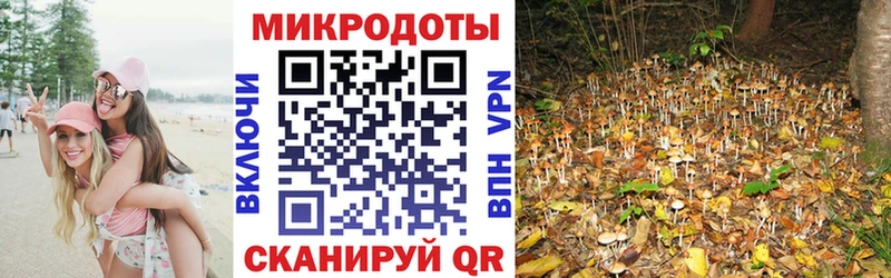 Псилоцибиновые грибы Psilocybine cubensis цена наркотик Елизово